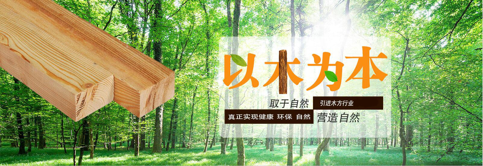 重慶午夜宅男视频批發價格